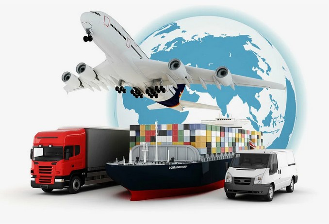 Подготовка документов для перевозки домашних животных