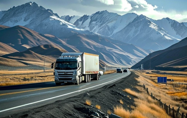 Киргизии нужна новая таможня: Что нужно знать о логистике в стране