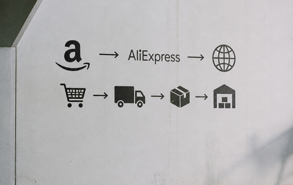 Битва маркетплейсов: Битва ринг-лейтеров: Битва E-commerce логистика против электронной коммерции