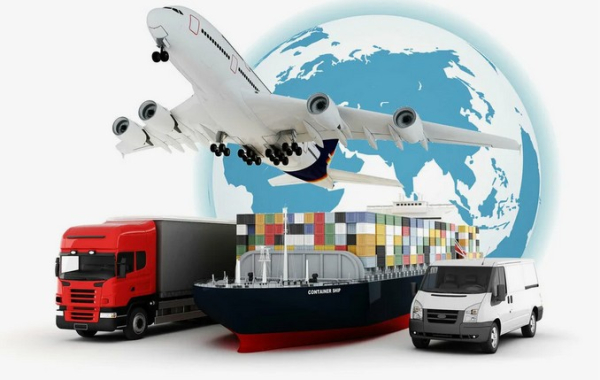 Подготовка документов для перевозки домашних животных